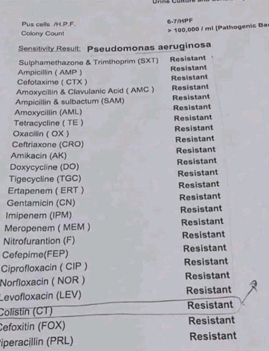 GovettAnna's tweet photo. This is really scary, I can’t imagine the fear that I’d feel receiving these results. #AMR is not some abstract or future threat. It’s real and it’s already here. A whole myriad of stakeholders are crucial to curb AMR, and young people from all disciplines have an important role. https://t.co/8Ul9WBZNmU