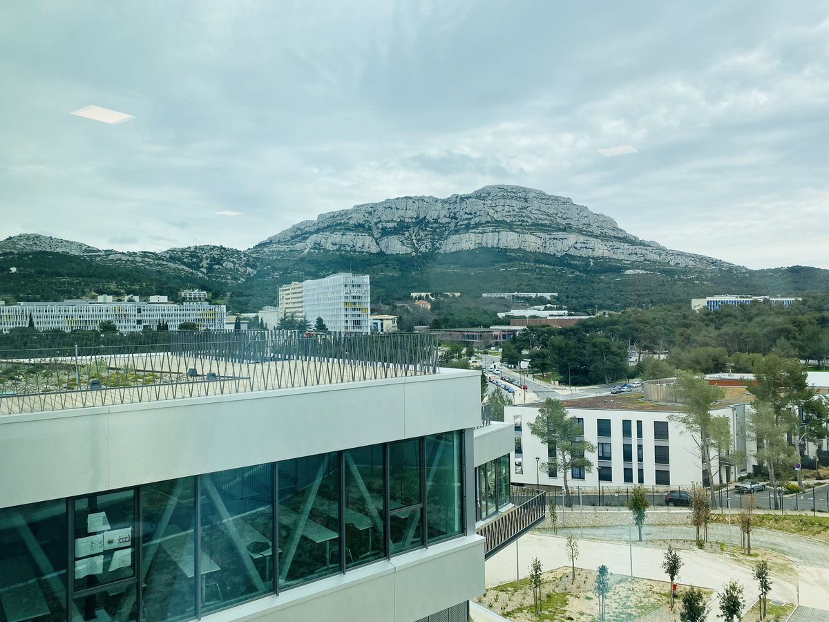 SOuezman tweet media