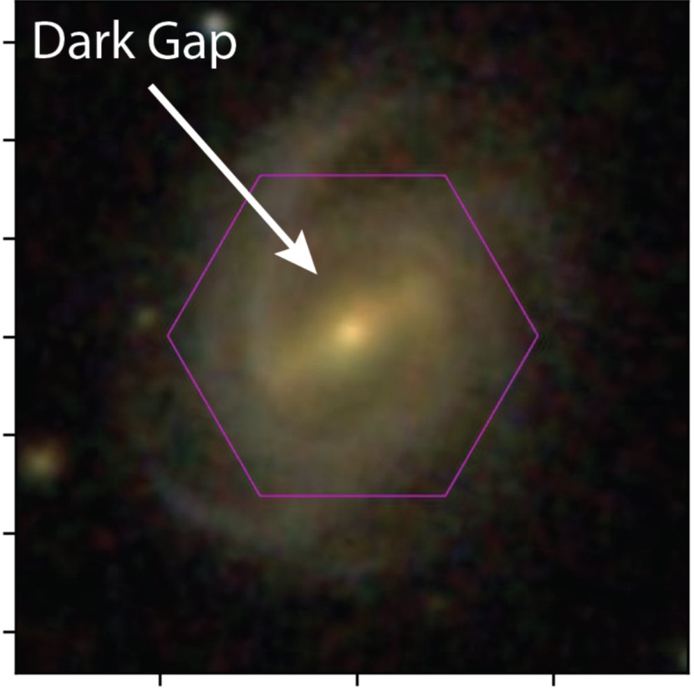 Dr. Dhanesh Krishnarao tweet media