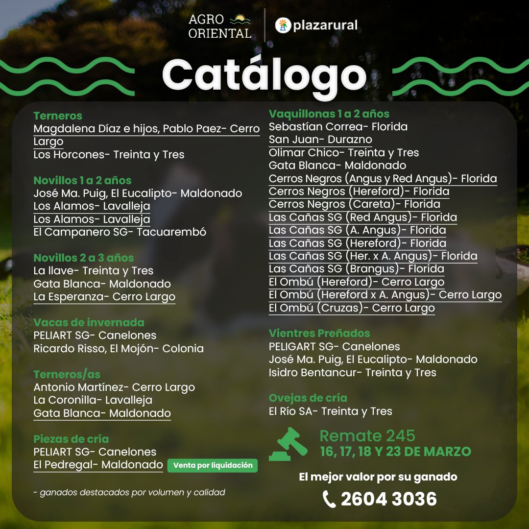 agrooriental's tweet photo. Compartimos nuestro catálogo para el remate 245 de @plazarural . El mismo se desarrollará los día 16, 17, 18 y 23 de Marzo. ¡Los esperamos! https://t.co/B7l8TGpjeJ