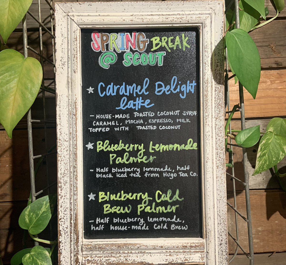 ScoutCoffee2's tweet photo. SPRING BREAK MENU drops today! https://t.co/Pn3z2L5ony