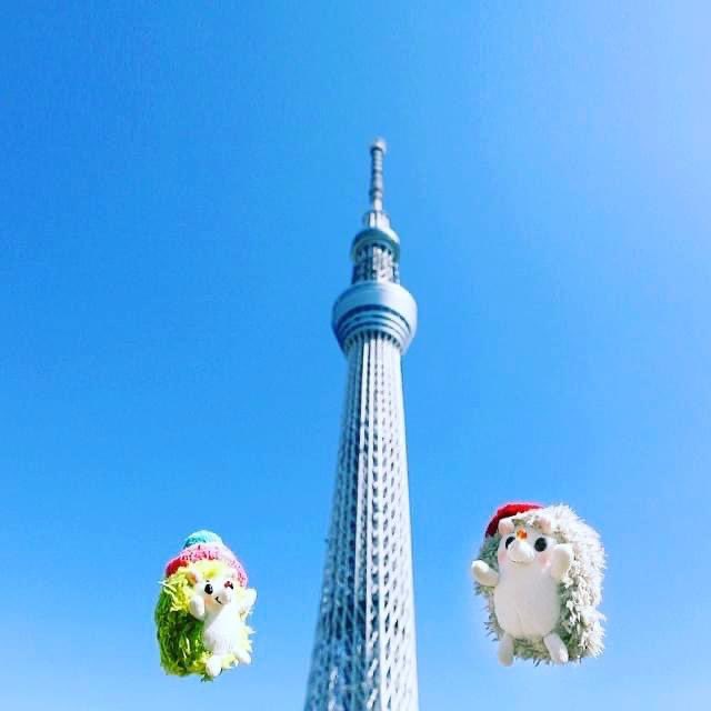 RainbowPockets's tweet photo. Facebookの思い出で出てくるたびにツィートしちゃうハリネズミとスカイツリー。
#ぬい撮り #東京スカイツリー #rockandpaper https://t.co/T0Qn2fJEOt