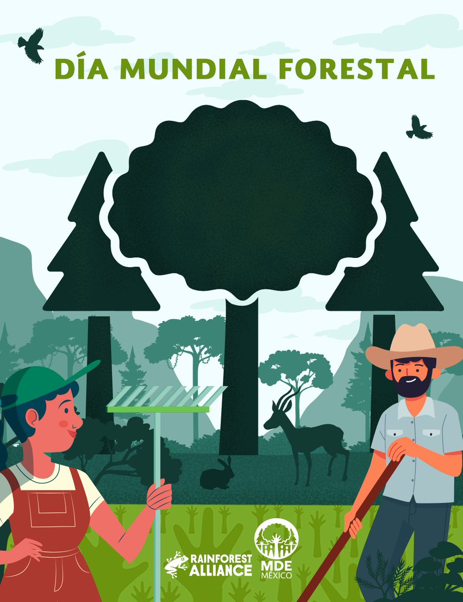 Celebremos juntos el #DiaMundialForestal

El #MDEMéxico reconoce su valor y te invita a apoyar #ProyectosProductivos que fomenten su conservación.

<a href="/RainforestALLMX/">Rainforest Alliance Mx 🇲🇽</a>  <a href="/bancomundialmx/">Banco Mundial México</a>  

 #MDEMÉXICO #NuestrasManosSostienenLosBosques #ComunidadesLocales