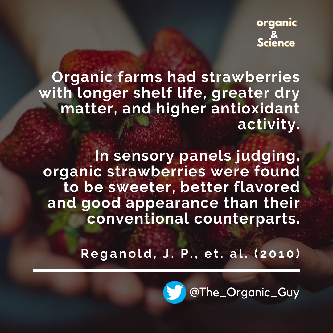 The_Organic_Guy's tweet photo. In this week's #OrganicAndScience we see that Organic strawberries have a longer shelf life, greater dry matter, and higher antioxidant activity. https://t.co/tCP97nOIOO