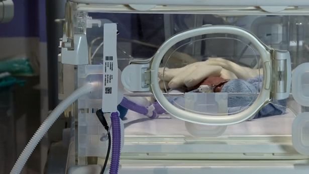 EakinResp's tweet photo. We love working with @MedicalHireTV to supply #respiratorycare products as #props for our much-loved #soaps and TV dramas. 📺
Have you spotted our #NeoFlow Ventilation Circuits in #CoronationStreet with Abi’s surprise baby, Alfie?
Our signature purple is easy to spot. https://t.co/UaHtP4HRNx