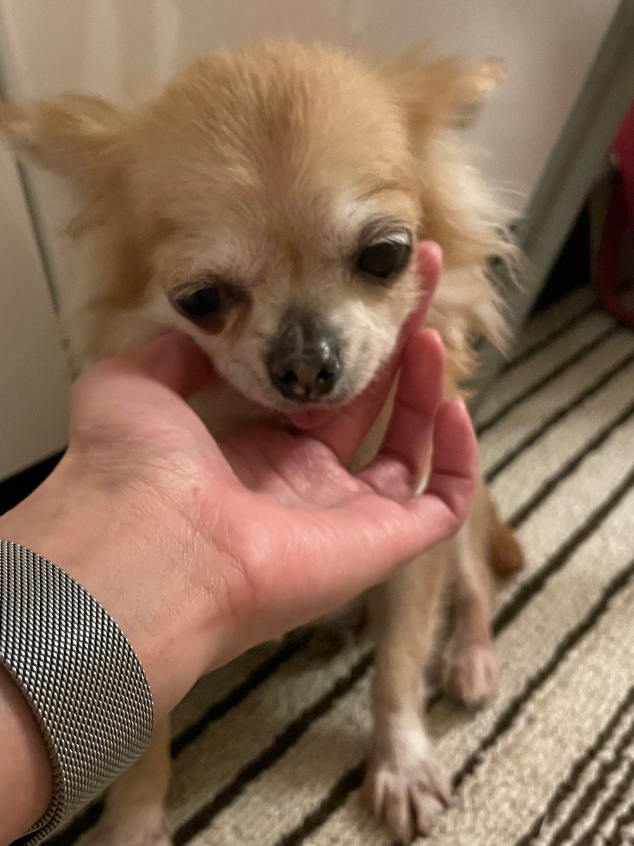 omeg1216's tweet photo. 本当の今でのママになった。この子の為に頑張って仕事しようと思った。一生を大切に守っていくからね、宜しくね。 https://t.co/dLjjB0ftAd