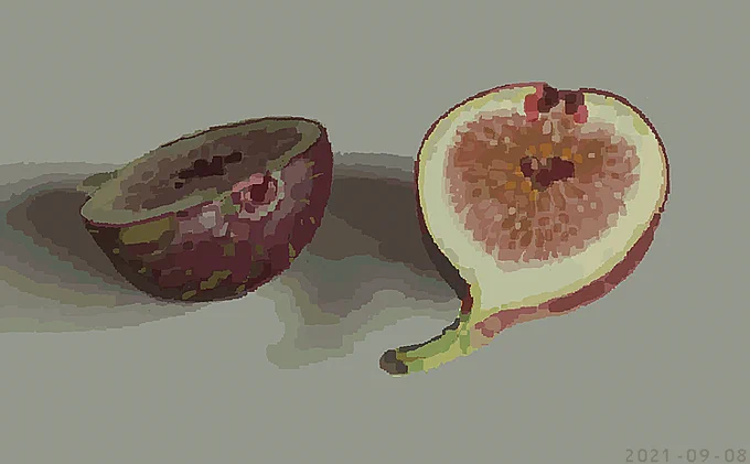 無花果 