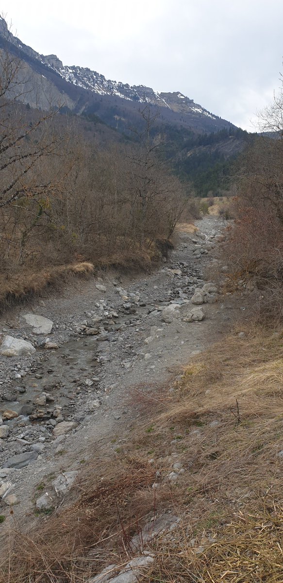 SauvonsLeau's tweet photo. 23 communes du sud de l’Isère améliorent leurs services d’eau potable et d’assainissement #ZRR https://t.co/TwNjZo6T0q https://t.co/gtYwMRPLBJ