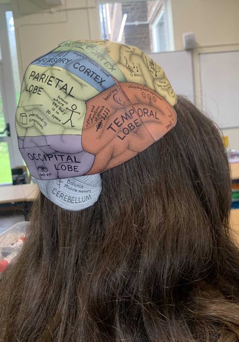 Dovercolscience's tweet photo. Our Lower 6th psychologists made these fun brain hats today to help visualize and understand which parts of the brain are responsible for what
#DoverCollege https://t.co/MArSMUF7eX