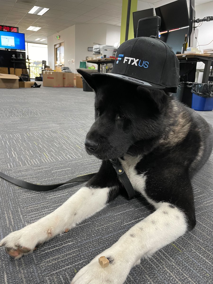 FTX tweet media
