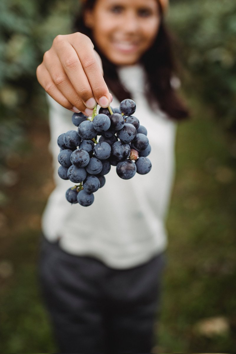 🍇💑 ¿Cómo prefieres hacer #enoturismo?

Según el Informe sobre la Demanda Turística, la manera de viajar que tiene el enoturista de las Rutas del Vino de España continúa siendo, mayoritariamente, en pareja. 

Más info 👉 n9.cl/4wri4 vía <a href="/rutasvinoespana/">Rutas Del Vino | ESP</a>