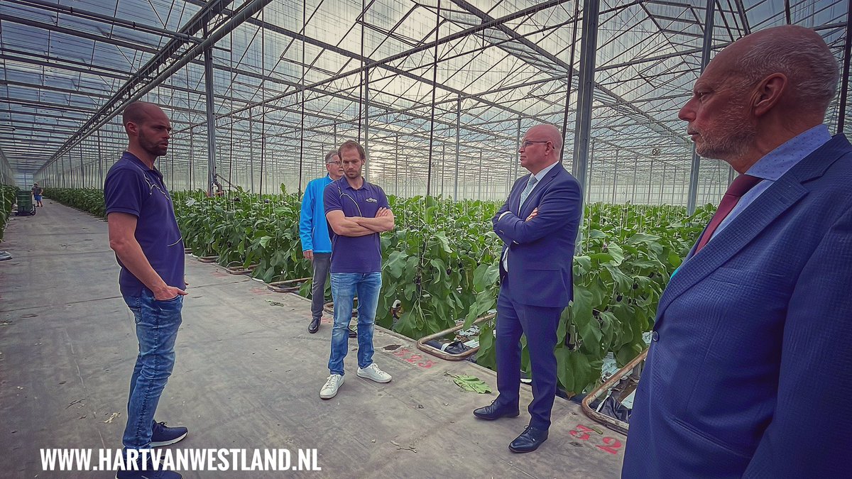 Henk Staghouwer Minister van Landbouw, Natuur en Voedselkwaliteit op bezoek bij aubergine 🍆 kwekerij van Onselen in ‘s-Gravenzande. <a href="/christenunie/">ChristenUnie</a> #HenkStaghouwer #wldebat