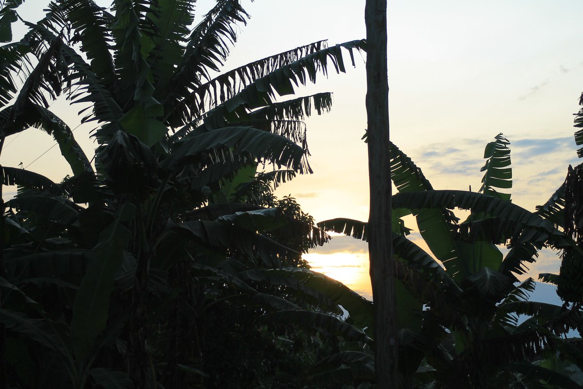 UgMandy's tweet photo. Enjoy the beauty of the tourism city 
#shots https://t.co/ZilIcKMYtK