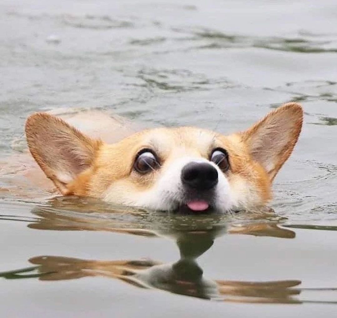 UN POCO ESTRESADO POR LA PEQUEÑA RASON DE KE ES LUNE