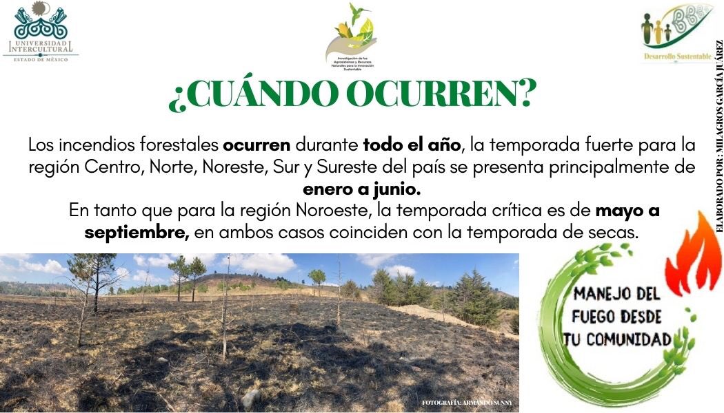 UIEMOficial's tweet photo. 🌱 La licenciatura en #DesarrolloSustentable, durante esta temporada de incendios 🔥, te invita a consultar el programa "Manejo de fuego desde tu comunidad" #NOQUEMA
#SomosUIEM https://t.co/8XwUzAt3qB