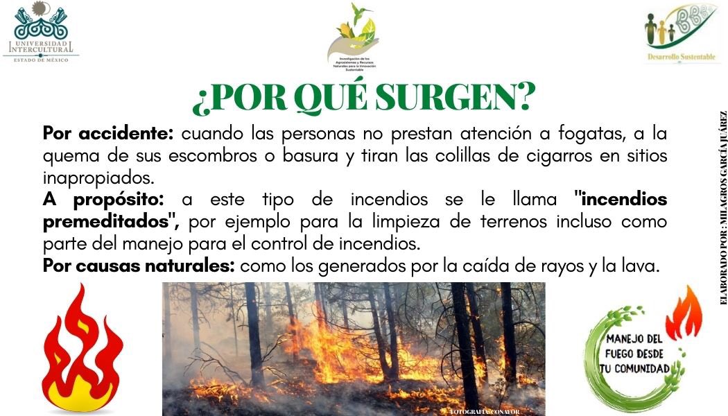 UIEMOficial's tweet photo. 🌱 La licenciatura en #DesarrolloSustentable, durante esta temporada de incendios 🔥, te invita a consultar el programa "Manejo de fuego desde tu comunidad" #NOQUEMA
#SomosUIEM https://t.co/8XwUzAt3qB