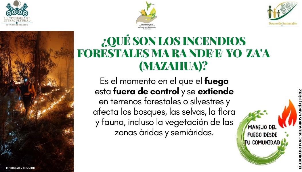 UIEMOficial's tweet photo. 🌱 La licenciatura en #DesarrolloSustentable, durante esta temporada de incendios 🔥, te invita a consultar el programa "Manejo de fuego desde tu comunidad" #NOQUEMA
#SomosUIEM https://t.co/8XwUzAt3qB