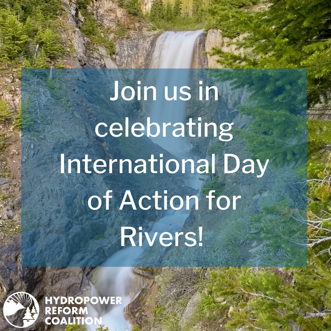 Today is the 25th anniversary of International Day of Action for Rivers! We work everyday to protect and restore rivers, watersheds, and communities affected by hydropower, and stand with our partners doing the same around the world. #DayofActionforRivers @intlrivers