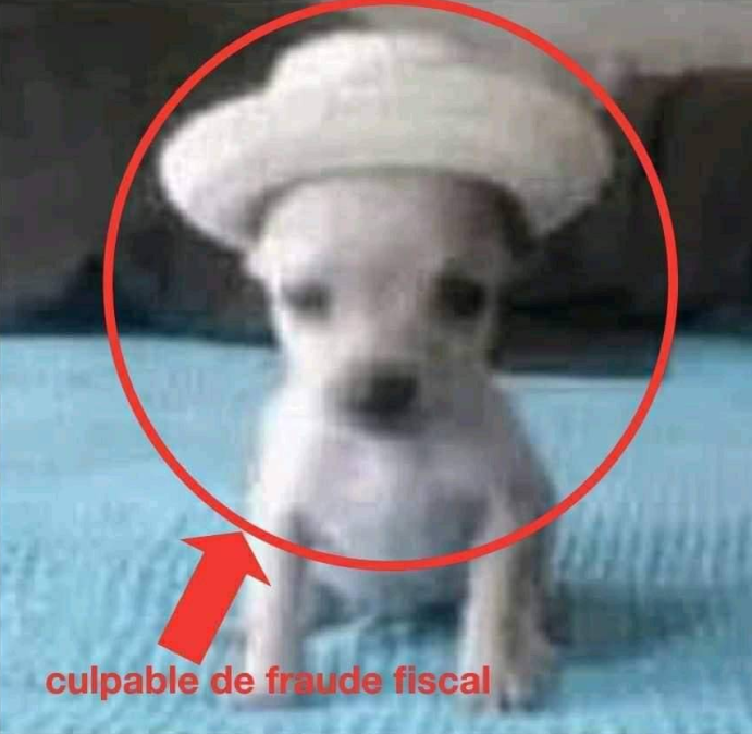 _Michilada_'s tweet image. #DENUNCIA