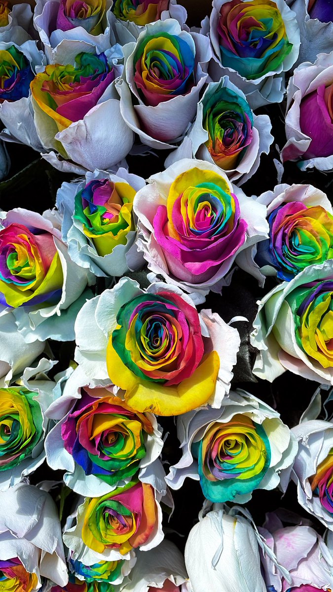 FlorKeeps's tweet image. LET’S GROOVE TONIGHT 🕺🏽🌈

Thank you @capitalfactory for having Flor Keeps at #atxstartupcrawl !

#florkeeps #psychedelicroses #SXSW2022