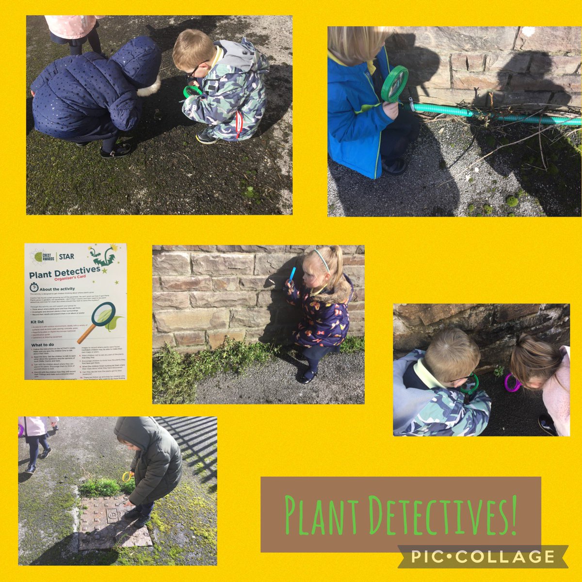 MrsGray12289703's tweet photo. It’s British Science Week! 🎉🤩👏🏼 We have kicked off our week in style by being plant detectives! We have also been solving lots of problems on Explorify! #crestawards #growth #unusualplaces #oddoneout #zoominzoomout https://t.co/lZwGt0ndFY