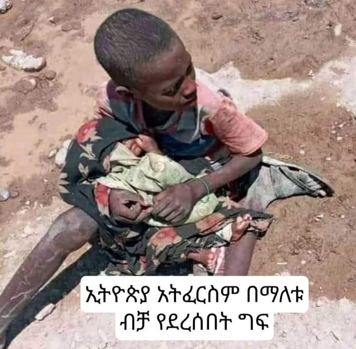 SaronSaricho's tweet photo. ኢትዮጵያ አትፈርስም በማለቱ የሚፈፀምበት ግፍ..!!!

በምስሉ ላይ የሚታየው ህፃን የታቀፈው የ6ቀናት እደሜ ያላት ጨቅላ ናት በስደት በርሃ ላይ የተወለደች። እናታቸው የራሷንና የልጆቿን ህይዎት ለማዳን የሚጠጣ ውሃ ፍለጋ ሩቅ ቦታ ሄዳለች።😭 #አፋር✍🇪🇹 https://t.co/0xBT5FuXrd