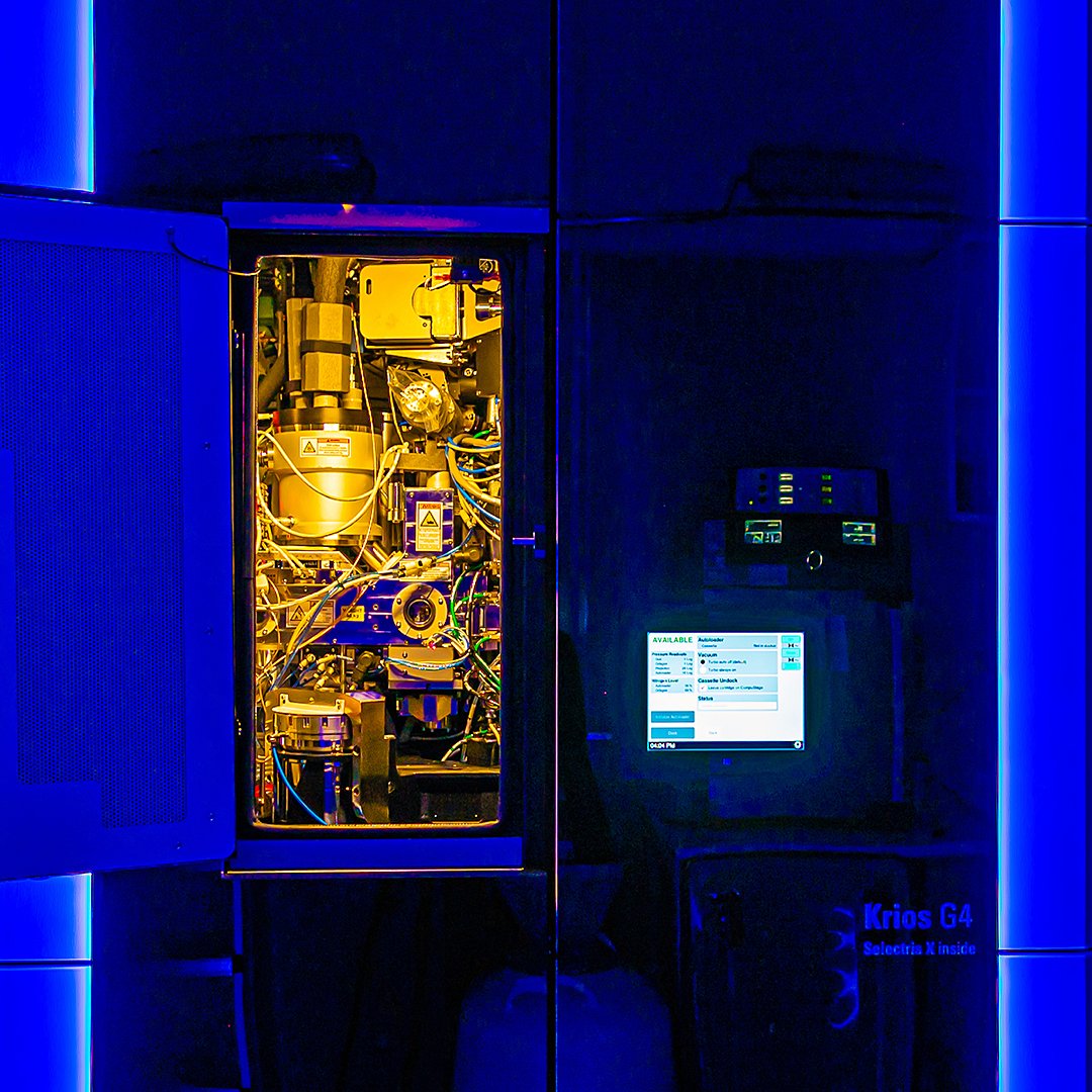 imprs_cbp's tweet image. What do we offer? #keyfeature 1: Benefit from sophisticated equipment &amp;amp; the sound methodological &amp;amp; technical expertise of our faculty. We host state-of-the-art facilities for #cryoEM, #massSpec, #NMR &amp;amp; advanced light #microscopy. @MPIbp @goetheuni @uni_mainz @fias_science #imprs