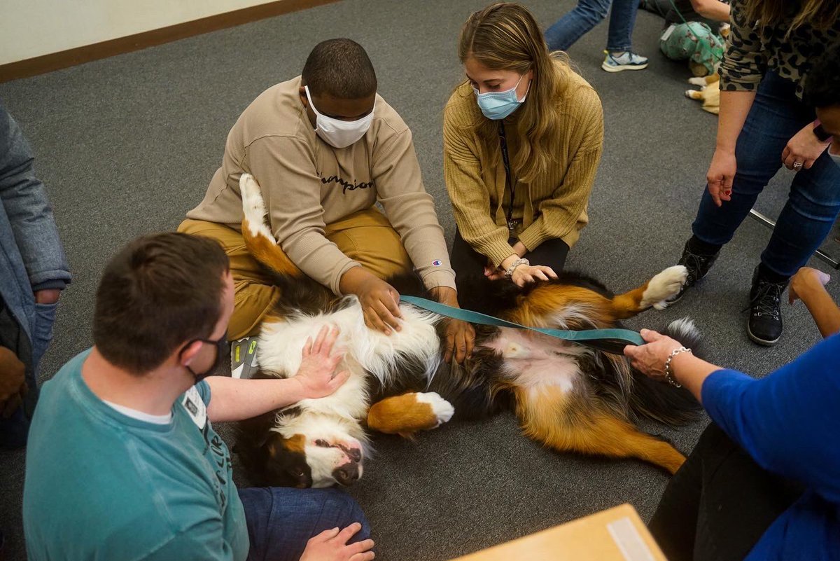 Check out some pictures from the therapy dog visits at Sunrise! 🐶 You can see more pictures at the Spotlight on Special Education blog with the link below!

aiu3.net/Page/3747