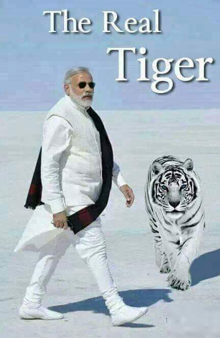 NardevU's tweet photo. जो नई पीढ़ी आज कश्मीर फाइल्स फ़िल्म देख के आई है उन्हें बताओ 

1992 में आतंकवादिय���ं की चुनौती स्वीकार कर के लाल चौक में तिरंगा फहराने वाला मर्द यही 👇नरेंद्र मोदी था❤️ ✍️nardevuniyal https://t.co/5TTEsuOhqW
