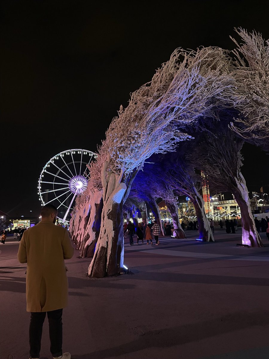 sr_747's tweet image. #ونتر_وندرلاند تصويري 🌚🤍