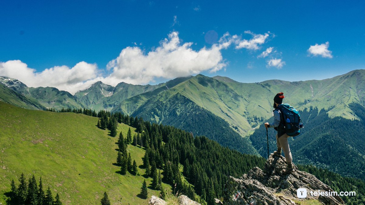 telesimofficial's tweet photo. Would you ever guess that this is in #Romania?🤩 It definitely goes to our bucket list now.
📍 Arefu

#Traveltips: Whenever you travel the world, use the Telesim app to have data anywhere you go. #ComingSoon 

 📷 @andreiakamike via Pexels

#vacationmode #eurotrip #traveleurope https://t.co/NrBUElsrmt