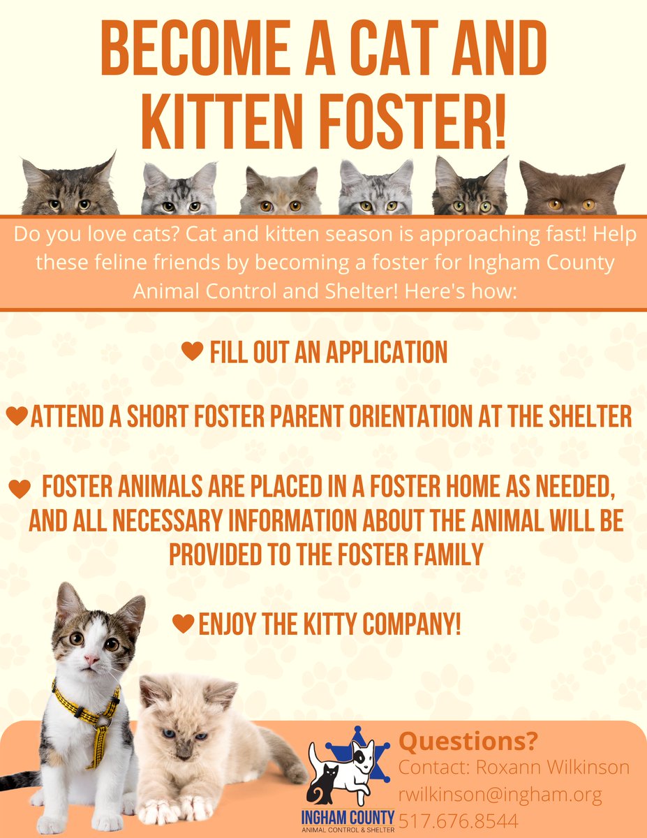 ICACShelter's tweet photo. If you love cats but long-term adoption is not a right fit for your household, consider helping out some kitty friends by becoming a foster for Ingham County Animal Control and Shelter! #foster #cat #kitten #animalfoster https://t.co/pdRQKJ417Q