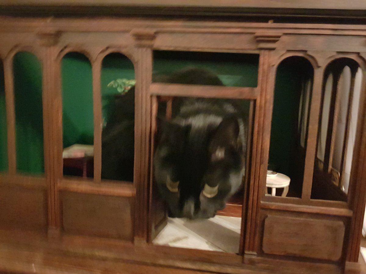 MandalaMeadow's tweet photo. @987jude What do you mean "Dolls House", surely its a cat house? https://t.co/nIJaTYYRsN