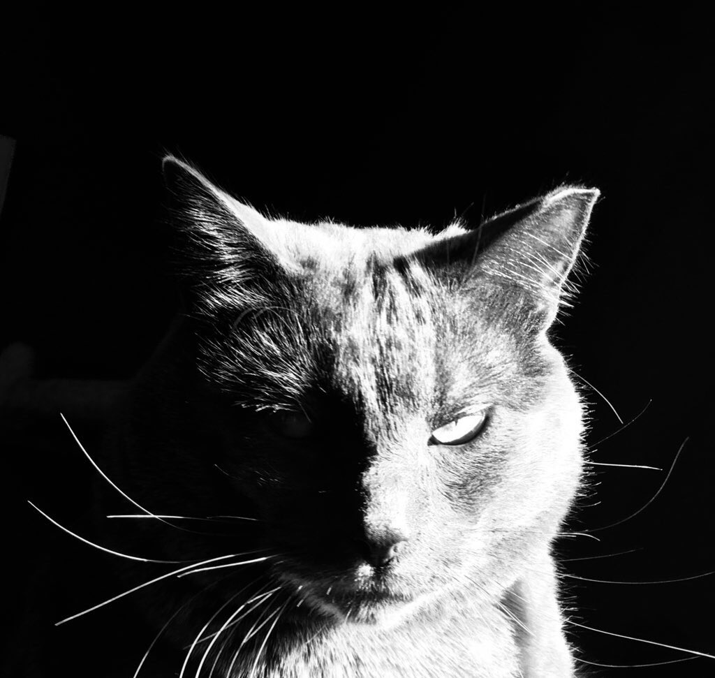 In case you missed me. I’m playing Wednesday night at Cactus Club with Hot Science and Problems. 8pm. 18+. $7 adv $10 door. 

First show of 2022 let’s freaking go.