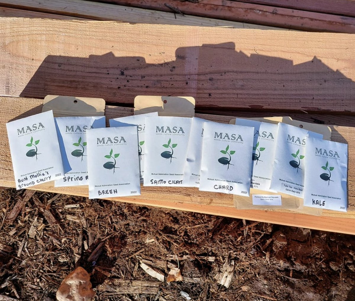 EarthLoveGarden's tweet photo. Excited about our new bulk order of seeds from the MASA Seed Foundation! When we build your Garden Beds, we provide you your choice of seeds so you can get right to growing! What are you excited to grow?!

#coloradogarden #coloradogardening #gardening #seeds #raisedgardenbeds https://t.co/EU4ETb5dvW