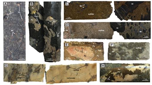 MagSul (@sul_mag) on Twitter photo 🚨6/12 - Mobilization and fractionation of magmatic sulfide: emplacement and deformation of the Munali Ni-(Cu-PGE) deposit, Zambia; by <a href="/DarylBlanks/">Dr Daryl Blanks</a> and researchers from <a href="/uniofleicester/">University of Leicester</a> <a href="/CSIRO/">CSIRO</a> @CET_UWA <a href="/UQ_News/">UQ News</a> and Mabiza Resources
doi.org/10.5382/econge… 🚨6/12 - Mobilization and fractionation of magmatic sulfide: emplacement and deformation of the Munali Ni-(Cu-PGE) deposit, Zambia; by <a href="/DarylBlanks/">Dr Daryl Blanks</a> and researchers from <a href="/uniofleicester/">University of Leicester</a> <a href="/CSIRO/">CSIRO</a> @CET_UWA <a href="/UQ_News/">UQ News</a> and Mabiza Resources
doi.org/10.5382/econge…
