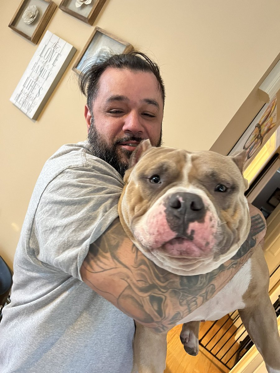 JDUBFFF's tweet image. Let me see them big head Bully’s. #americanbully #abkcbully #bullylove #bigheadbully