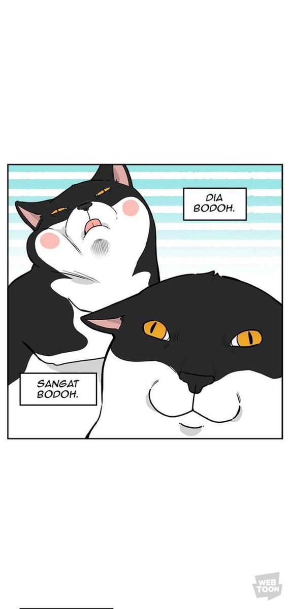 lillmuff's tweet photo. @WEBCOMICFESS https://t.co/hEqK2I8jwr
