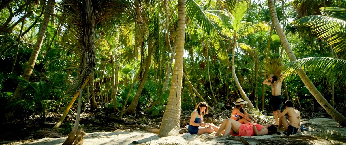 Rutopía | Viajes auténticos por México 🍃 tweet media