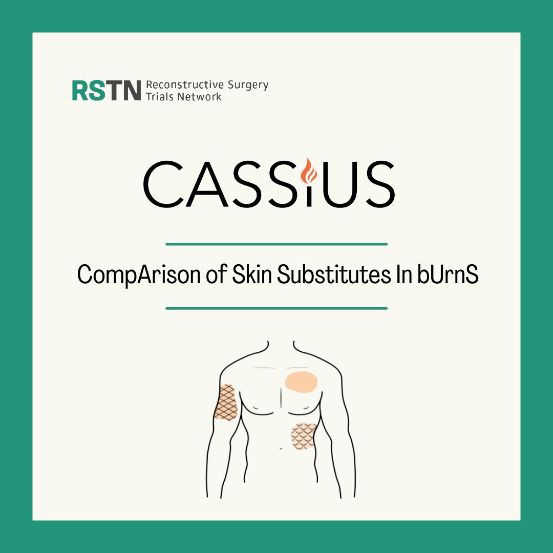 Surgery_Trials's tweet photo. The #RSTN team have been busy and we have an exciting new project 

#CASSIUS survey is a national survey designed to evaluate clinicians awareness, use and decision making regarding skin substitutes in burns 🔥

Further information on our website: https://t.co/rjje8QKioM https://t.co/WkiS1EHaoe