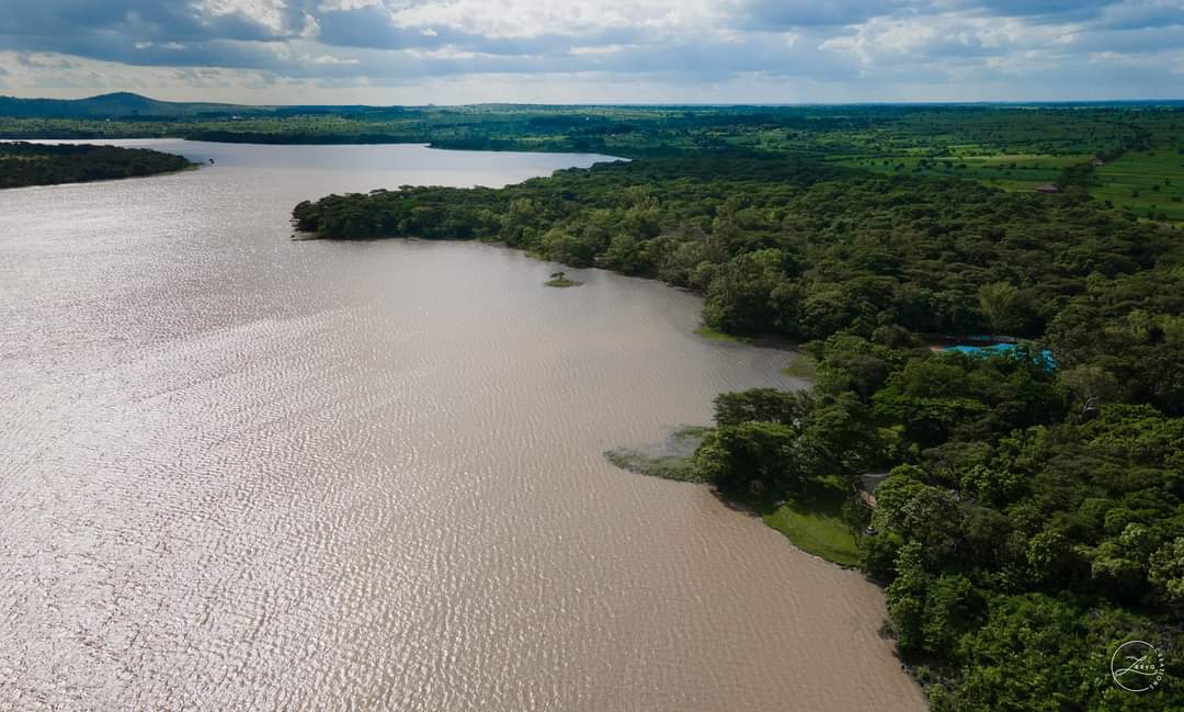 llwaterboard's tweet photo. Beautiful Views of our Kamuzu Dam 2.
Photo Credits: @zeeyacreations @AlbertKamanga4
#Call253 #PotableWaterForAll https://t.co/7j604qTARc