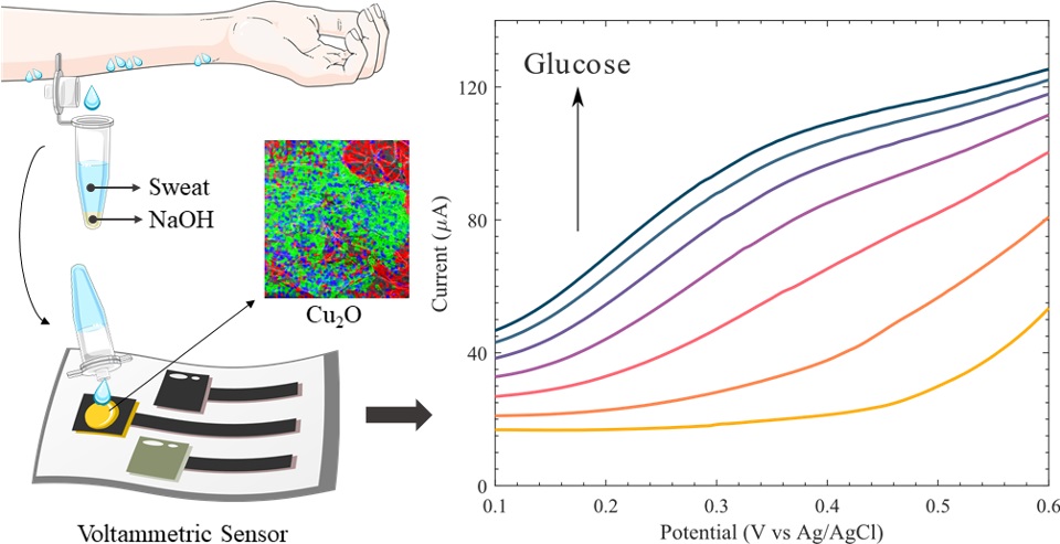 We are introducing our first work on portable glucose sensing based on Cu2O-nanparticle coated on graphene paste printed cloth.mdpi.com/2079-6374/12/3…. Published in <a href="/Biosensors_MDPI/">Biosensors</a> 
Congratulations Fabiane for your hard work. <a href="/UofGEngineering/">James Watt School of Engineering, Uni. of Glasgow</a> <a href="/AQUASENSE_ITN/">AQUASENSE</a> <a href="/Richard09865993/">Richard Hogg</a>
