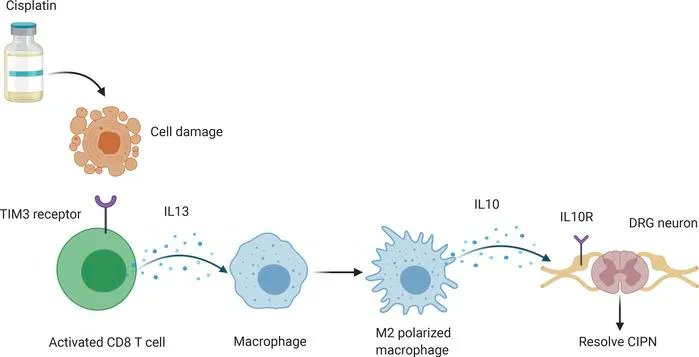 JCI insight tweet media