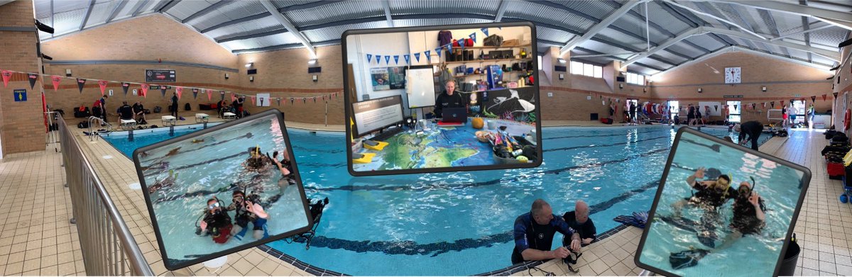 stellardivers.co.uk/news/mermaid-a… what a great week of scuba.