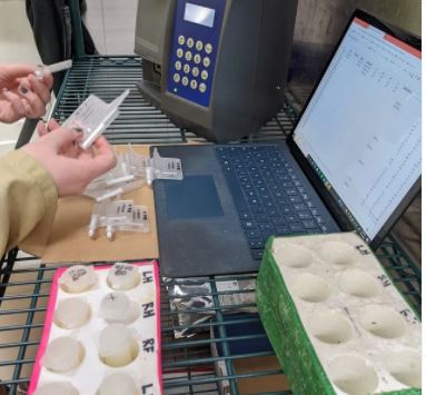 Dr. Caixeta's lab is investigating the use of cell count at dry off to optimize dry cow therapy and decrease the use of antimicrobials <a href="/umnCVM/">UMN College Veterinary Medicine</a> <a href="/umnCVMresearch/">UMN College of Veterinary Medicine Research</a> #UMNProud