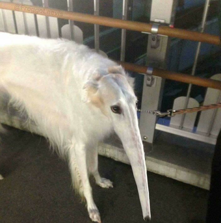 * ʙᴏʀɴ ᴀɢᴀɪɴ 𝑨𝑵𝑨𝑹𝑪𝑯𝑰𝑺𝑻 (@metalcarcxss) on Twitter photo 