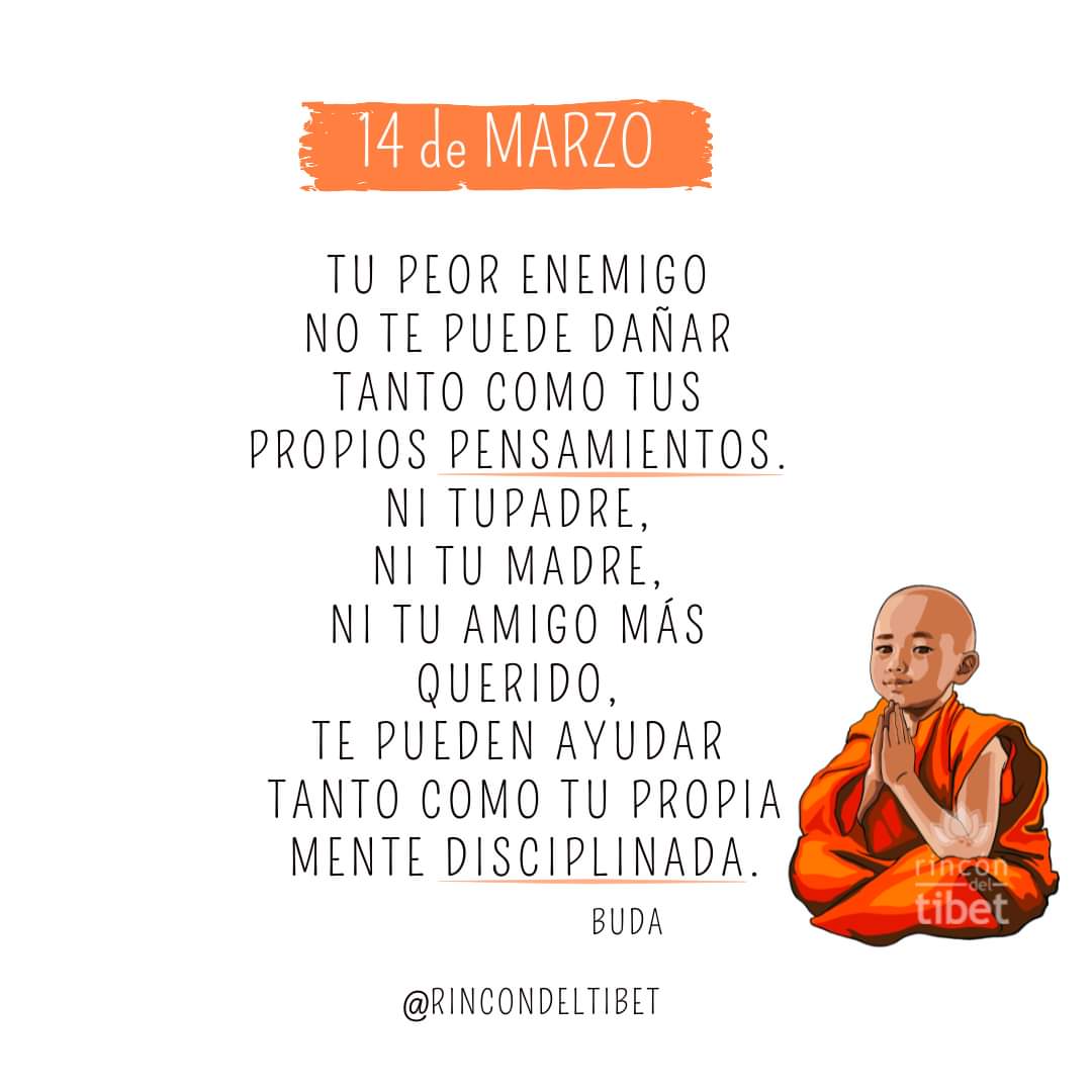 fotero28's tweet photo. 🙏🏻🧡🌴 https://t.co/D7r7uDrGKi