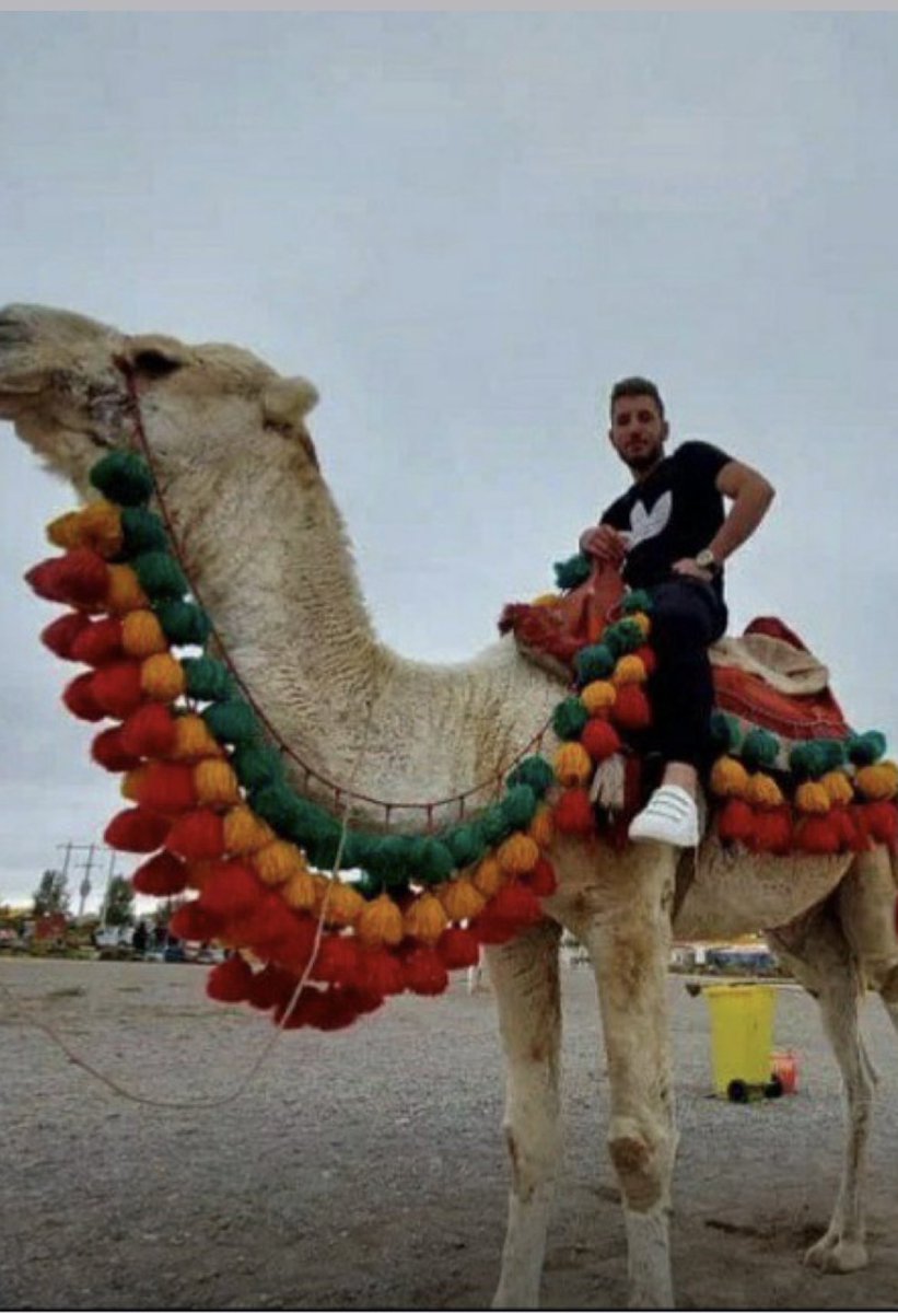 Siavash Jamali (@siavashjamali4) on Twitter photo 