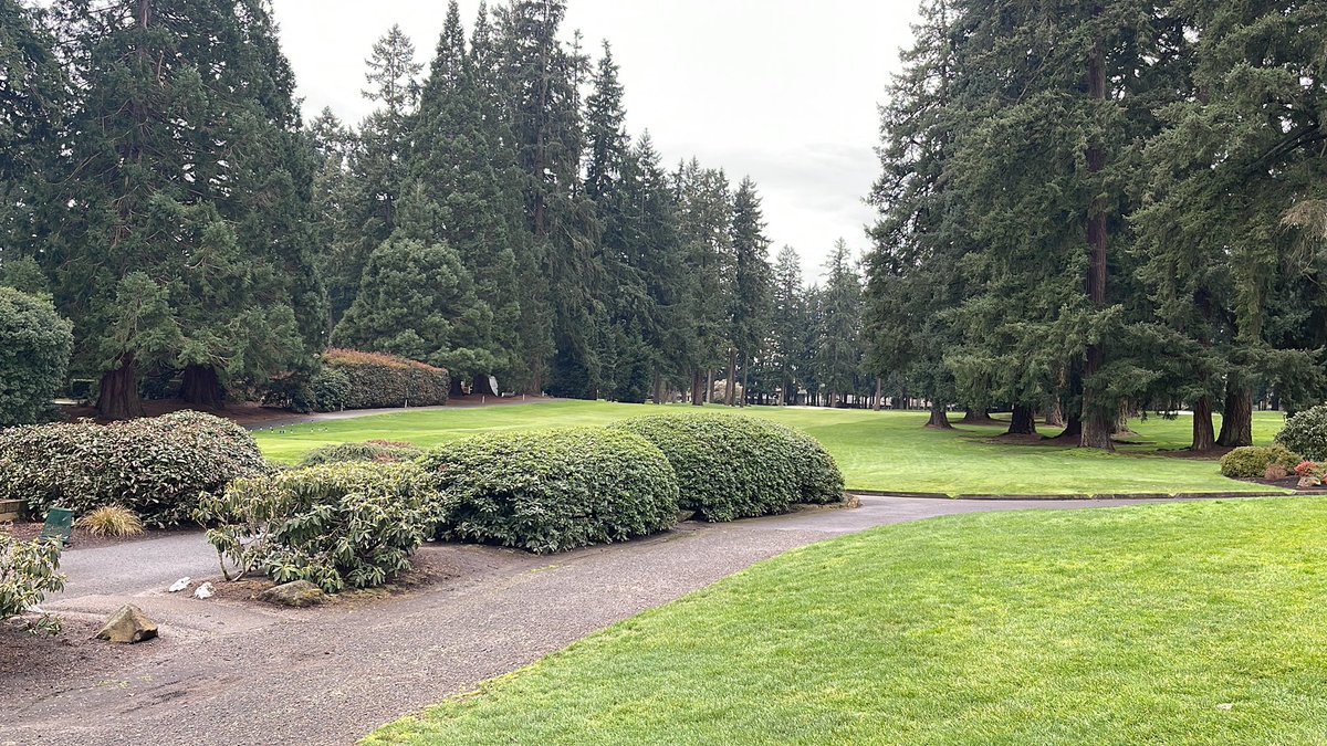 We’re Baaack!  Tigard-Tualatin Pre season Showcase, hosted by Tualatin Country Club.
#oregonhighschoolgolf #TRL #letsgo