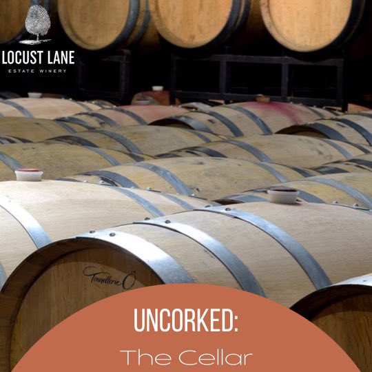 Welcome to the cellar, where all of the ✨magic✨ happens! At Locust Lane, we use oak barrels to age our wine with deep and unique flavours. What’s your favourite vintage?🍷 

#Uncorked #LocustLane #OntarioWineries #Wine #NiagaraWines #WineCountryON #SupportLocal #Wineries